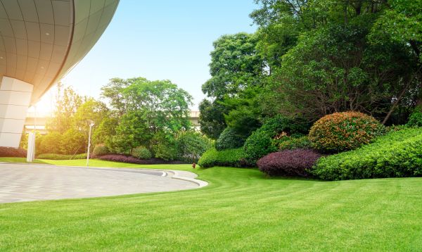 Cost of Commercial Shrub Trimming in Paso Robles