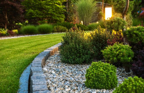 Cost of Bush Relocation in Paso Robles