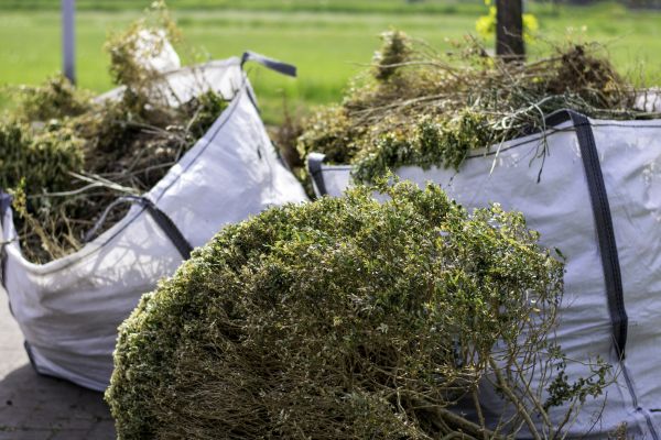 Cost of Shrubs Removal in Paso Robles