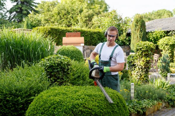 Cost of Shrubs Trimming in Paso Robles