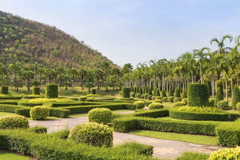 Native Shrubs Maintenance