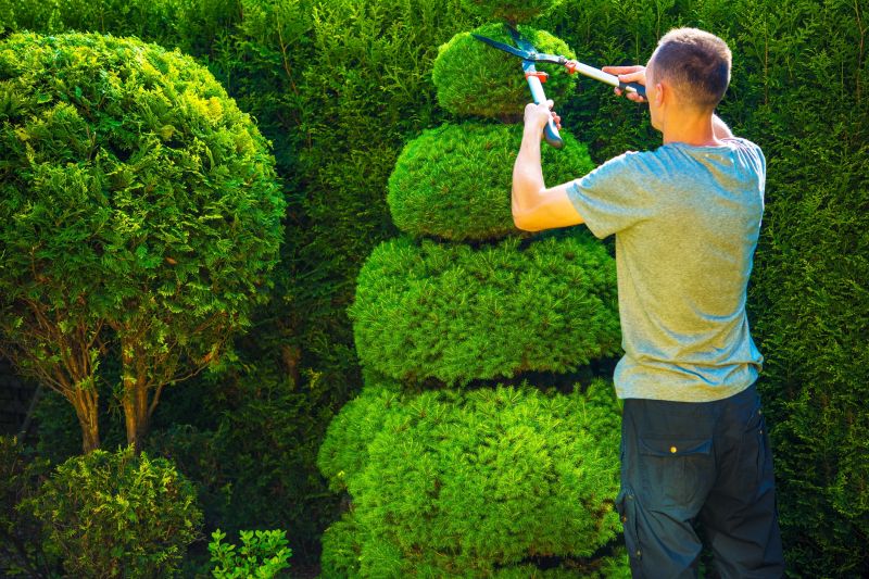 Pruning for Shape and Health